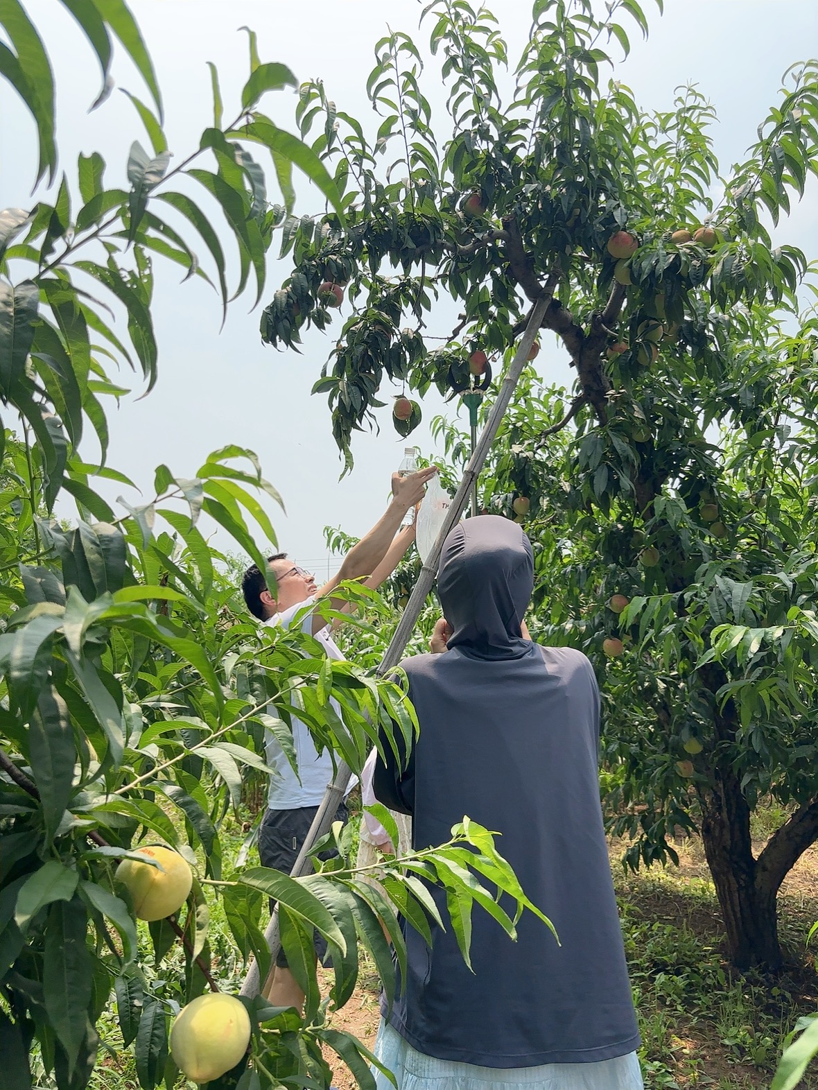 Hoạt động xây dựng đội ngũ Bắc Kinh Trung Bình  ôm lấy thiên nhiên3