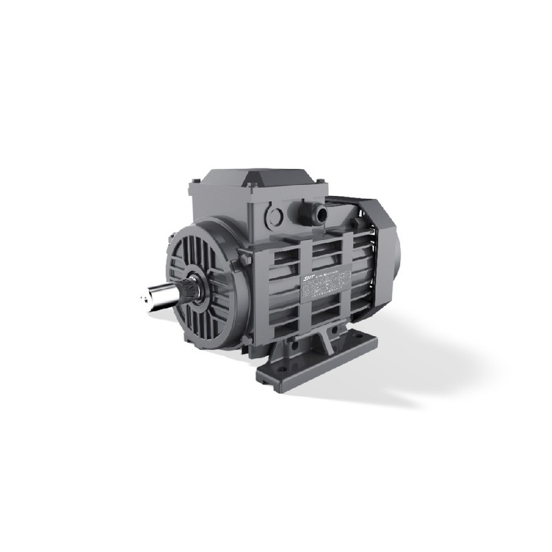 Động cơ GESHI FTYP LSPM 0.55-15kW IE4 Khởi động trực tiếp IP55